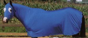 351530l-stevnedekken-l_20200914125500