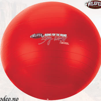 652400-activety-ball-l10
